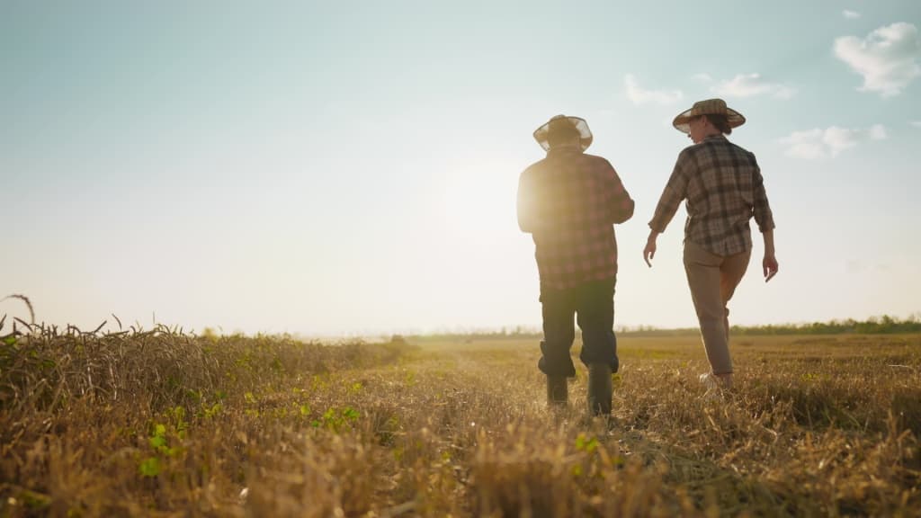 Two farmers walking at sunset.